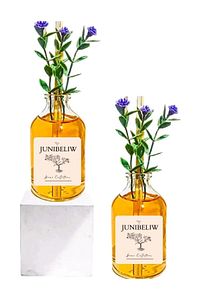 Banyo Tuvalet Kokusu Esansiyel Oda Kokusu Koku Giderici Egzotik Pink Mango2x50ml (ÇİÇEKSİZ) ürün fotoğrafı