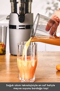 Slow Juicer Yavaş Sıkım Katı Meyve Sıkacağı ürün fotoğrafı