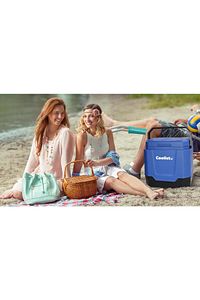 Clt33 12volt/220volt Ac/dc 33 Litre Sıcak/soğuk Oto Buzdolabı ürün fotoğrafı