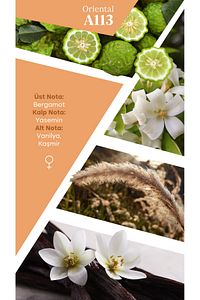 Mad A113 Selective 50 ml Kadın Parfüm ürün fotoğrafı
