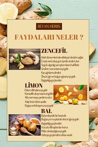 Ginger Shot Doğal Bitkisel Zencefil Shot 10 Adet (CAM ŞİŞELİ) ürün fotoğrafı