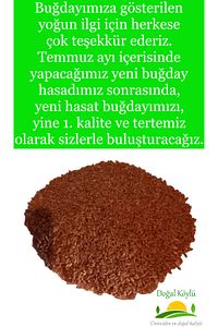 1. Sınıf Işlenmemiş Buğday 3kg - Durum Buğdayı (ELENMİŞ, TOHUMLUK, YEMLİK, ILAÇSIZ TEMİZ BUĞDAY) ürün fotoğrafı