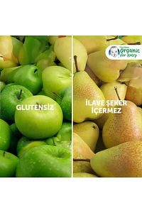 Organik Muzlu Ve Havuçlu Balkabağı Püresi 90 gr ürün fotoğrafı