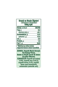 Organik Muzlu Ve Havuçlu Balkabağı Püresi 90 gr ürün fotoğrafı