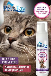 Kedi Bit Pire Kene ve Parazit Önleyici Kuru Köpük Şampuanı ürün fotoğrafı