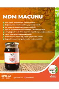 Kudret Narlı Ballı Mdm Karışık Bitkisel Macun 420 Gr ürün fotoğrafı