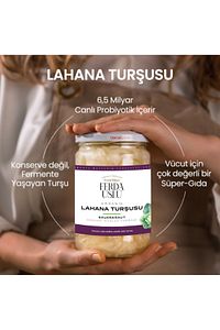 Organik Lahana Turşusu 5'li 600 G ürün fotoğrafı