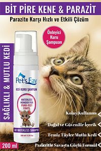 Kedi Bit Pire Kene ve Parazit Önleyici Kuru Köpük Şampuanı ürün fotoğrafı