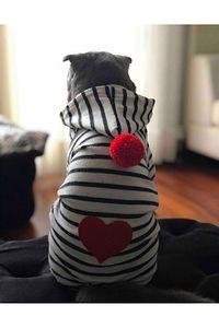 Küçük Irk Kalp Kedi-köpek Tulumu (1-10 Kg ) ürün fotoğrafı