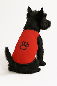 Pati Red Kedi & Köpek Atleti (1 Kg-10 Kg) ürün fotoğrafı