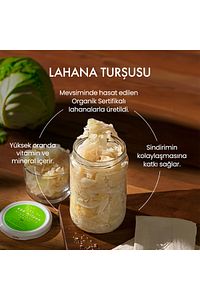 Organik Probiyotik Lahana Turşusu 600 G ürün fotoğrafı