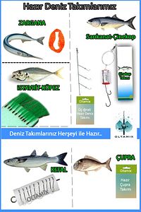 Profesyonel Olta Seti 300 Cm 100-300 gr Atarl Kamış - Metal Kafa 6000 10 Bilyalı Makina Takımı Seti ürün fotoğrafı