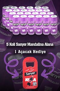 Sarıyer Mandalina Aromalı Gazoz 330ml X 24 Adet ürün fotoğrafı