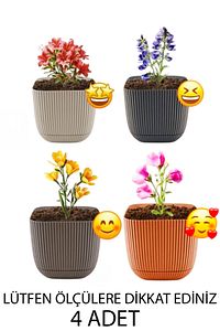 4 Adet 2 No Kare Çok Renkli Mercan Kare Kaktüs Ve Sukulent Saksı Seti ürün fotoğrafı