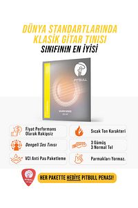 Pitbull Strings Silver Seri Klasik Gitar Takım Teli SCG NT Normal Tansiyon (Pena Hediyeli) ürün fotoğrafı