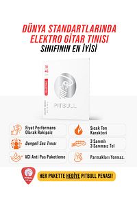 Pitbull Strings Silver Seri Elektro Gitar Takım Teli SEG 10-46 L Light Nikel Alaşım ürün fotoğrafı