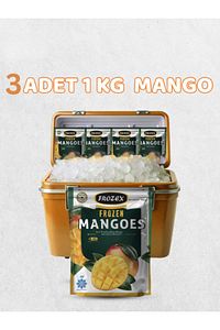 Frozex Mango Meyvesi 1 Kg 3 Adet ürün fotoğrafı