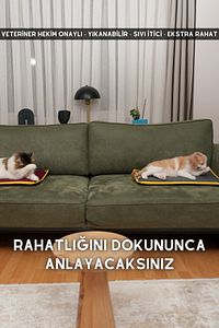 Serin (60X40CM) - 4 Mevsim Kedi/ Köpek Matı, Sıcak Veya Soğuk Kullanılabilen Minder Yatak ürün fotoğrafı