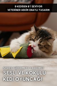 Matatabi - Dino (40X12CM) Bol Sesli, Bol Kokulu Kedi Oyuncağı ürün fotoğrafı