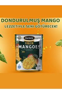 Frozex Mango Meyvesi 1 Kg 3 Adet ürün fotoğrafı