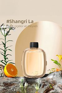 Mio Smell 2x Aromaterapi Yedek Oda Kokusu - Shangri-la Kokusu (1 ADET) ürün fotoğrafı