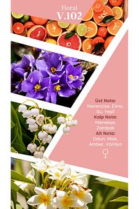 Mad V102 Selective 50 ml Kadın Parfüm ürün fotoğrafı