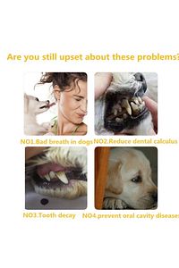 Kedi Köpek Diş Fırçası ve Diş Macunu Seti Yenilebilir Diş Macunu Dental Kit Ağız ve Diş Sağlık Seti ürün fotoğrafı