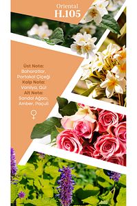 Mad H105 Selective 50 ml Kadın Parfüm ürün fotoğrafı