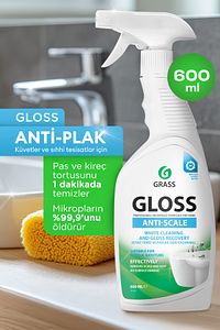 Gloss Pas & Kireç Sökücü Sprey 600ml - Çok Amaçlı, Hızlı Etkili, Leke Bırakmaz ürün fotoğrafı