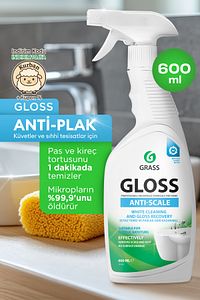 Gloss Pas & Kireç Sökücü Sprey 600ml - Çok Amaçlı, Hızlı Etkili, Leke Bırakmaz ürün fotoğrafı