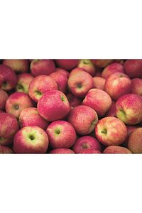 Doğal Fermantasyon Elma Sirkesi, Apple Cider Vinegar 500ml ürün fotoğrafı