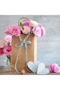 Çanta 25x12x31 ( 50 Adet ) ( Kağıt Poşet Çanta ) ürün fotoğrafı