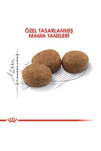 Sterilised37 Kısırlaştırılmış Kediler Için Kuru Kedi Maması 15kg ürün fotoğrafı