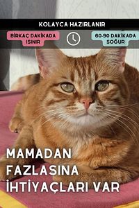 Serin (60X40CM) - 4 Mevsim Kedi/ Köpek Matı, Sıcak Veya Soğuk Kullanılabilen Minder Yatak ürün fotoğrafı