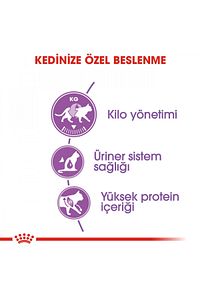 Sterilised37 Kısırlaştırılmış Kediler Için Kuru Kedi Maması 15kg ürün fotoğrafı