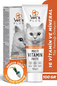 Multivitamin Malt Macun 100gr (BAĞIŞIKLIK SİSTEMİ DESTEKLEYİCİ) ürün fotoğrafı