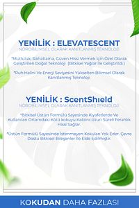 Nefes Açıcı Nane Ve Okaliptüs Esansiyel Uçucu Koku Yağı Buhurdanlık Yağı Difüzör Esansı Küre 10ml ürün fotoğrafı