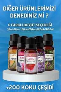 Nefes Açıcı Nane Ve Okaliptüs Esansiyel Uçucu Koku Yağı Buhurdanlık Yağı Difüzör Esansı Küre 10ml ürün fotoğrafı