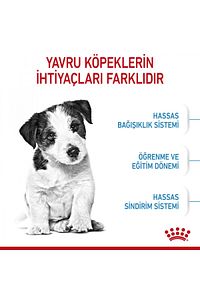 Küçük Irklar Için Yavru Kuru Köpek Maması 2kg ürün fotoğrafı