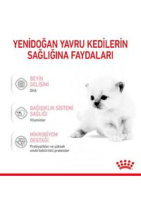 Cat Kedi Süt Tozu 300gr ürün fotoğrafı