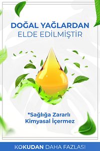 Nefes Açıcı Nane Ve Okaliptüs Esansiyel Uçucu Koku Yağı Buhurdanlık Yağı Difüzör Esansı Küre 10ml ürün fotoğrafı