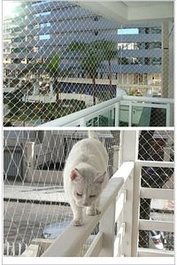 2,5x10m Kedi Balkon Filesi | Kuş Koruma Filesi | Uv Dayanıklı Balkon Güvenlik Ağı -montaj Seti Hariç ürün fotoğrafı