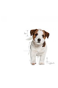 Mını Puppy Küçük Irklar Için Yavru Kuru Köpek Maması 4kg ürün fotoğrafı