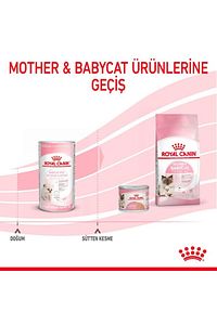 Cat Kedi Süt Tozu 300gr ürün fotoğrafı
