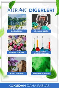 Nefes Açıcı Nane Ve Okaliptüs Esansiyel Uçucu Koku Yağı Buhurdanlık Yağı Difüzör Esansı Küre 10ml ürün fotoğrafı