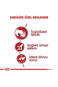 Instinctive Yaş Kedi Maması 12 X 85g ürün fotoğrafı