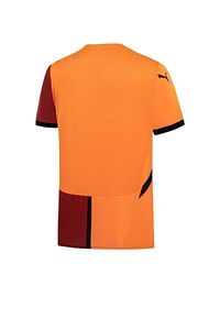 Galatasaray Erkek Iç Saha Forması ürün fotoğrafı