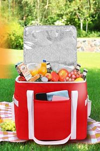 Kamp Piknik Termos Çanta 30 Litre Kırmızı 36 X 31 X 31 Cm ürün fotoğrafı