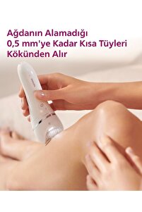 BRE710/05 Epilatör (Yüz+Koltuk altı+Bikini Bölgesi+Bacak)Islak Ve Kuru,Işıklı,Kablosuz ürün fotoğrafı