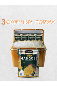 Frozex Mango Meyvesi 1 Kg 3 Adet ürün fotoğrafı